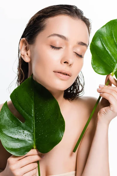 Mujer joven desnuda mojada con los ojos cerrados sosteniendo hojas de palma verde con gotas de agua aisladas en blanco - foto de stock