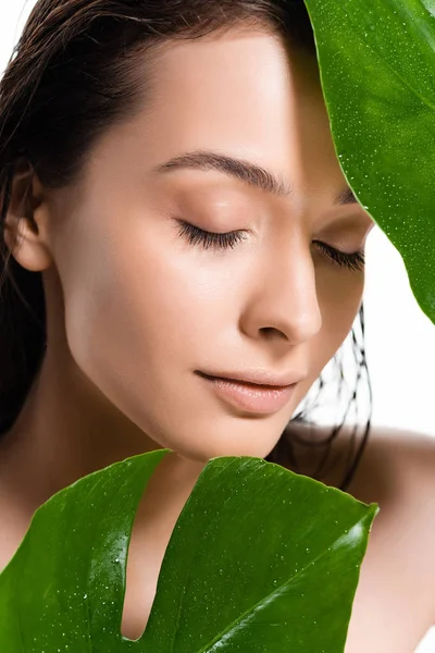 Beautiful wet naked young woman with closed eyes holding green leaves with water drops isolated on white — Stock Photo