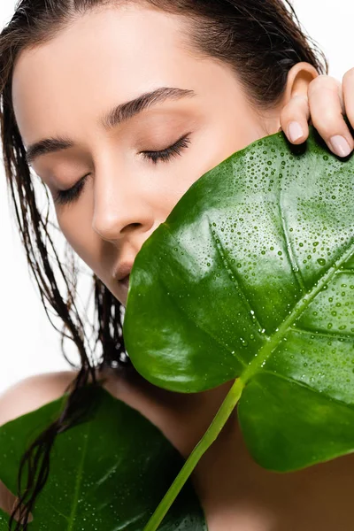 Hermosa mujer joven desnuda mojada con los ojos cerrados sosteniendo hojas de palma verde con gotas de agua aisladas en blanco - foto de stock