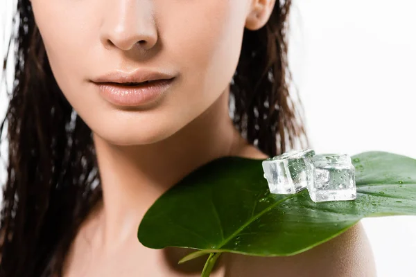 Обрізаний вид на красиву мокру голу молоду жінку з кубиками льоду на зеленому листі ізольовано на білому — стокове фото