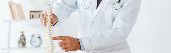 Panoramic shot of doctor in white coat pointing with finger at spine model — Stock Photo