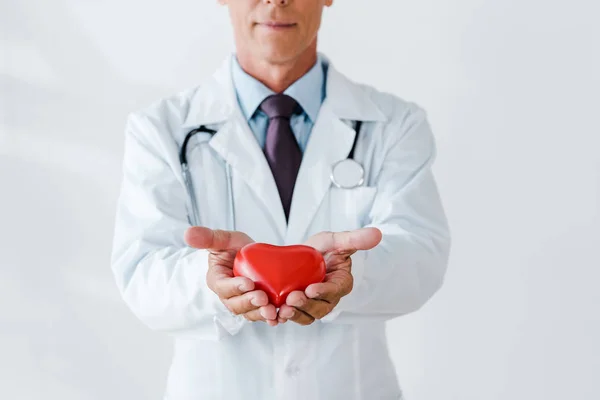 Cropped view of doctor holding red heart model in hands on white — Stock Photo