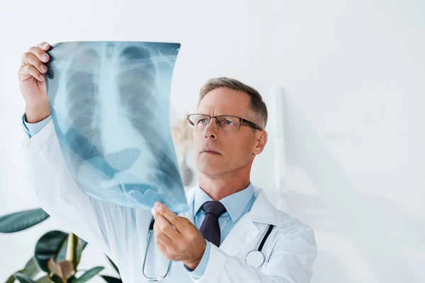 Médico de bata blanca y gafas mirando rayos X en la clínica - foto de stock