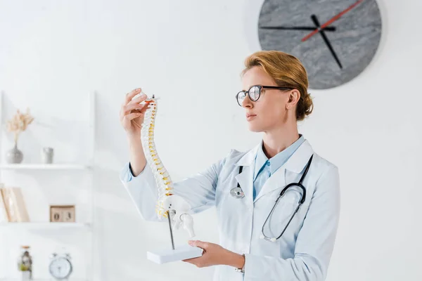 Atractivo médico en gafas que sostienen el modelo de columna vertebral en el hospital - foto de stock