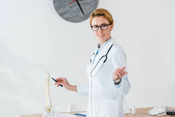 Привлекательный врач в очках с ручкой рядом с моделью позвоночника и жестом в клинике — стоковое фото