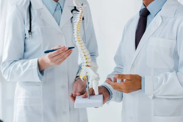 Vista recortada del médico sosteniendo modelo de columna vertebral cerca de compañero de trabajo en la clínica - foto de stock