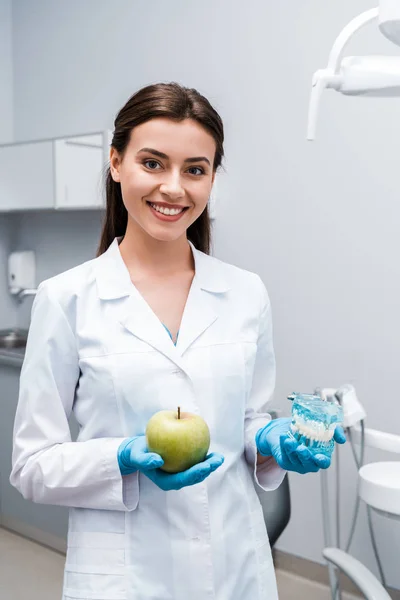 Atractivo y feliz dentista sosteniendo los dientes modelo y sabrosa manzana en la clínica - foto de stock