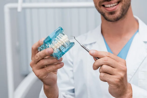 Cropped view of cheerful dentist holding dental instrument and tooth model in hands — Stock Photo