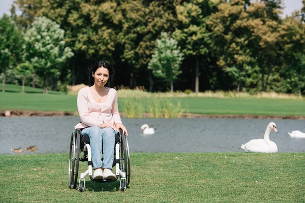 Молодая женщина-инвалид смотрит в камеру, сидя в инвалидной коляске у пруда с белыми лебедями — стоковое фото