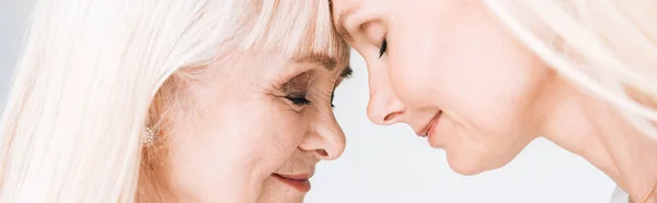 Plano panorámico de rubia madura hija y madre mayor de pie cara a cara con los ojos cerrados aislados en gris - foto de stock