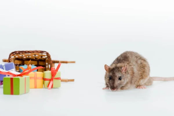 Pequeno rato perto de trenó de brinquedo e presentes coloridos isolados em branco — Fotografia de Stock