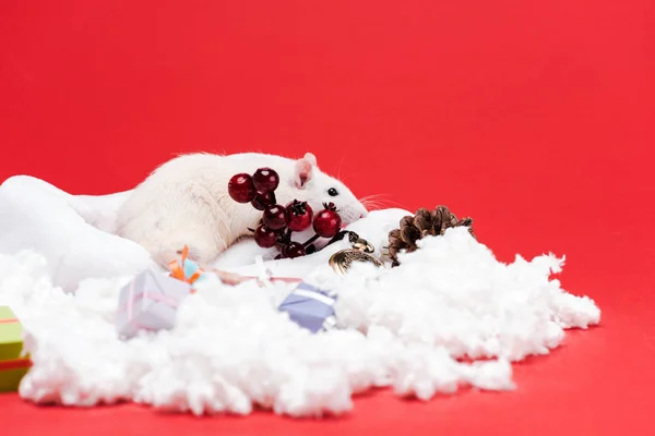 Enfoque selectivo de ratón pequeño en sombrero de santa cerca de regalos y bayas rojas aisladas en rojo - foto de stock