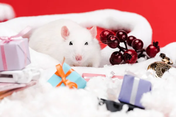 Selektiver Fokus der Maus in der Nähe roter Beeren und Geschenke isoliert auf rotem Grund — Stockfoto