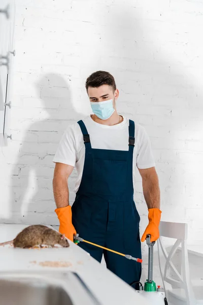 Man in protective mask holding toxic spray near rat in kitchen — Stock Photo