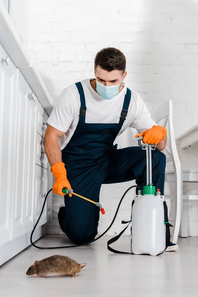 Mann in Uniform und Schutzmaske hält Giftgerät mit Spray in der Nähe von Ratte in Küche — Stockfoto