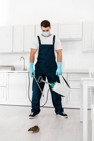Exterminateur en uniforme et masque de protection tenant l'équipement toxique avec pulvérisation près de rat dans la cuisine — Photo de stock