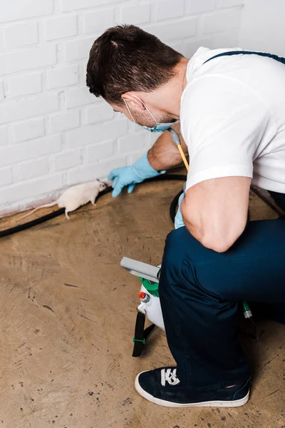 Selective focus of exterminator catching small mouse near brick wall — Stock Photo