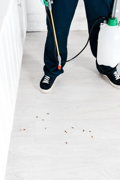 Vista ritagliata dell'uomo che tiene lo spray tossico vicino agli scarafaggi sul pavimento — Foto stock