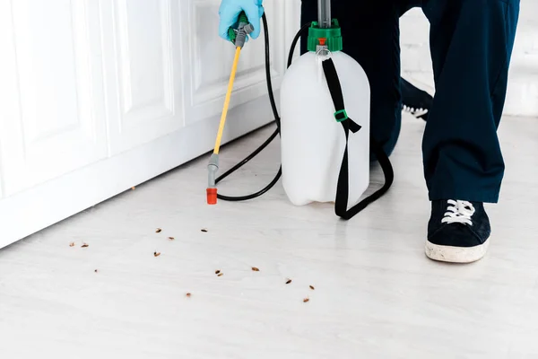 Vista cortada do homem segurando spray tóxico perto de baratas no chão na cozinha — Fotografia de Stock