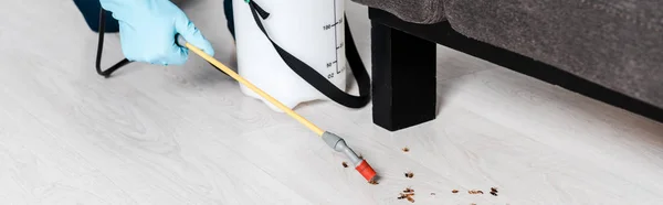 Panoramic shot of man holding toxic spray near cockroaches on floor — Stock Photo