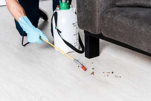 Vista recortada del hombre sosteniendo spray tóxico cerca de cucarachas cerca del sofá - foto de stock