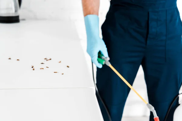 Vue recadrée de l'exterminateur tenant l'équipement toxique avec pulvérisation près des cafards — Photo de stock