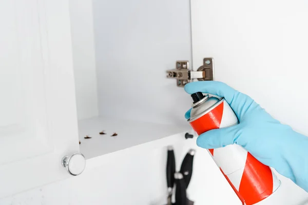 Vista recortada del exterminador en guante de látex celebración spray puede cerca del gabinete de cocina - foto de stock