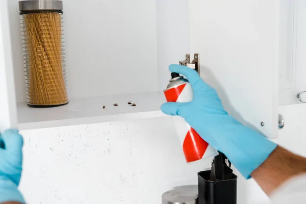 Vista recortada del exterminador en guante de látex que sostiene el aerosol puede cerca del gabinete de cocina con insectos - foto de stock