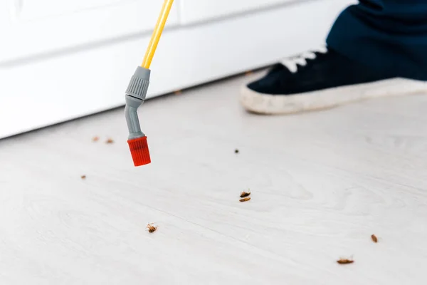 Ausgeschnittene Ansicht eines Kammerjägers, der giftiges Spray in der Nähe von Insekten auf dem Boden hält — Stockfoto