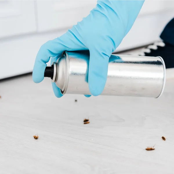 Primo piano dello sterminatore con spray tossico vicino agli insetti sul pavimento — Foto stock
