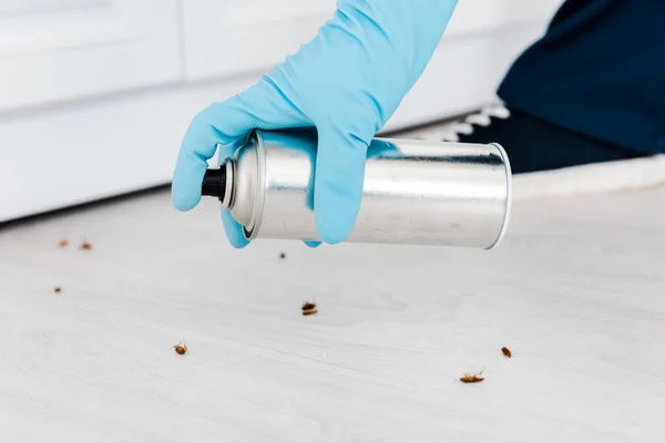 Vista ritagliata del disinfestatore con spray tossico può vicino agli insetti sul pavimento — Foto stock