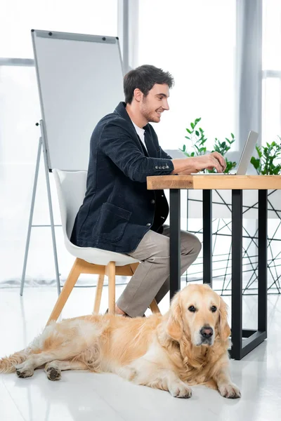 Beau et souriant homme d'affaires en utilisant un ordinateur portable et golden retriever couché dans le bureau — Photo de stock