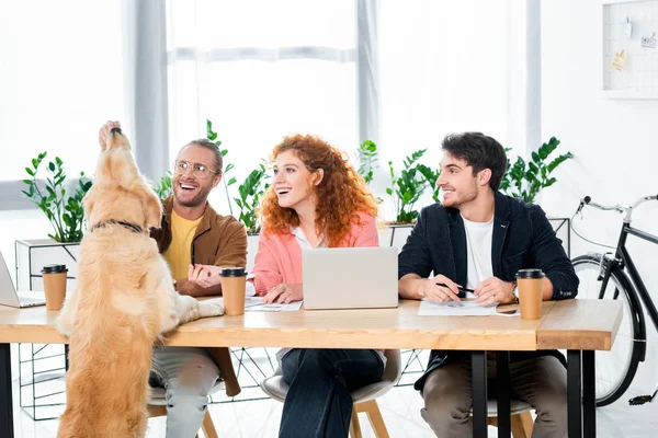Three friends smiling and feeding golden retriever in office — Stock Photo