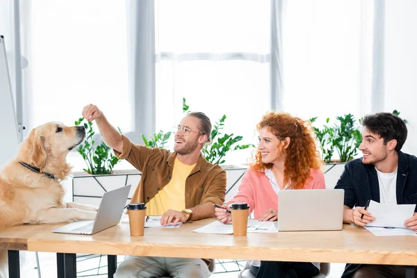 Three friends smiling and feeding golden retriever in office — Stock Photo