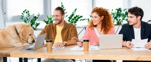 Panoramic shot of three friends smiling and looking at cute golden retriever in office — Stock Photo
