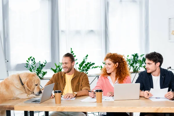 Drei Freunde lächeln und schauen niedlichen Golden Retriever im Büro an — Stockfoto