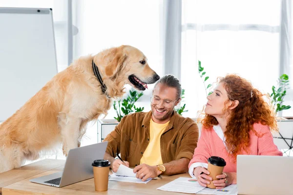 Businessman doing paperwork and woman looking at cute golden retriever in office — Stock Photo