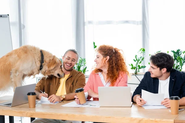 Three friends smiling and looking at cute golden retriever in office — Stock Photo