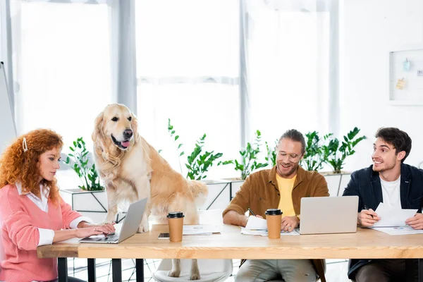 Tre amici che sorridono e fanno scartoffie, golden retriever seduto sul tavolo in ufficio — Foto stock