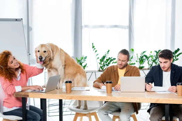 Two friends working and attractive woman stroking cute golden retriever — Stock Photo