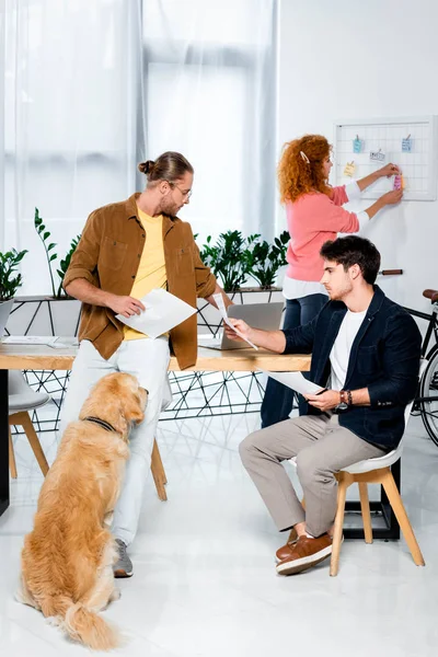 Gutaussehende Freunde beim Papierkram und Golden Retriever im Büro — Stockfoto