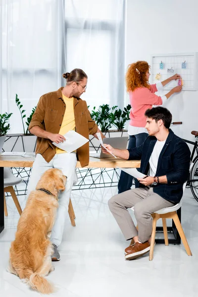 Guapos amigos haciendo papeleo y golden retriever sentado en la oficina - foto de stock