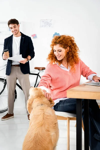 Hombre guapo mirando atractiva mujer acariciando lindo golden retriever en oficina - foto de stock