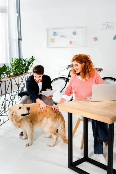 Handsome man and attractive woman stroking cute golden retriever in office — Stock Photo