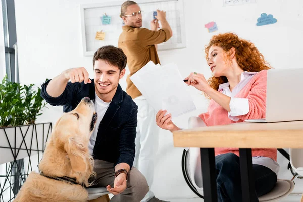 Two friends doing paperwork and handsome man feeding cute golden retriever in office — Stock Photo