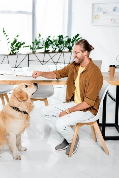 Lächelnder und gutaussehender Mann füttert niedlichen Golden Retriever im Büro — Stockfoto