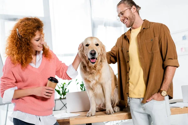 Two smiling friends stroking cute golden retriever in office — Stock Photo