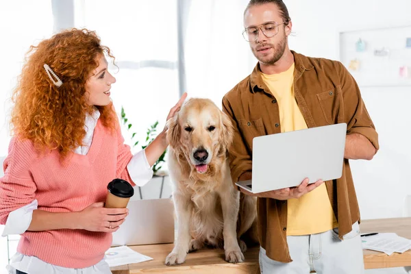 Attractive woman stroking cute golden retriever and businessman holding laptop in office — Stock Photo