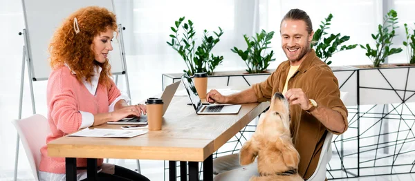 Panoramic shot of woman using laptop and handsome man feeding golden retriever — Stock Photo