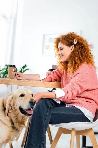 Mulher atraente e sorridente em suéter rosa acariciando golden retriever no escritório — Fotografia de Stock